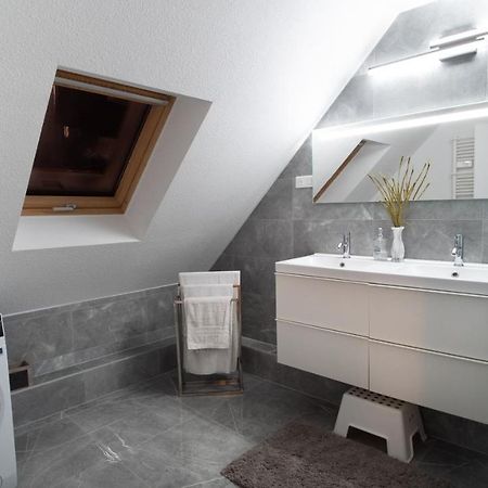 Superbe Appartement Au Coeur Du Colmar Kültér fotó