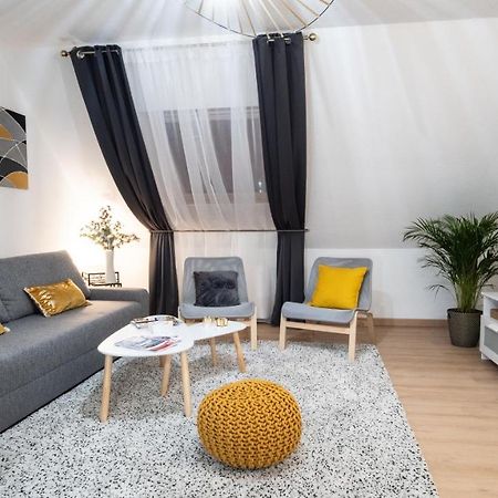 Superbe Appartement Au Coeur Du Colmar Kültér fotó