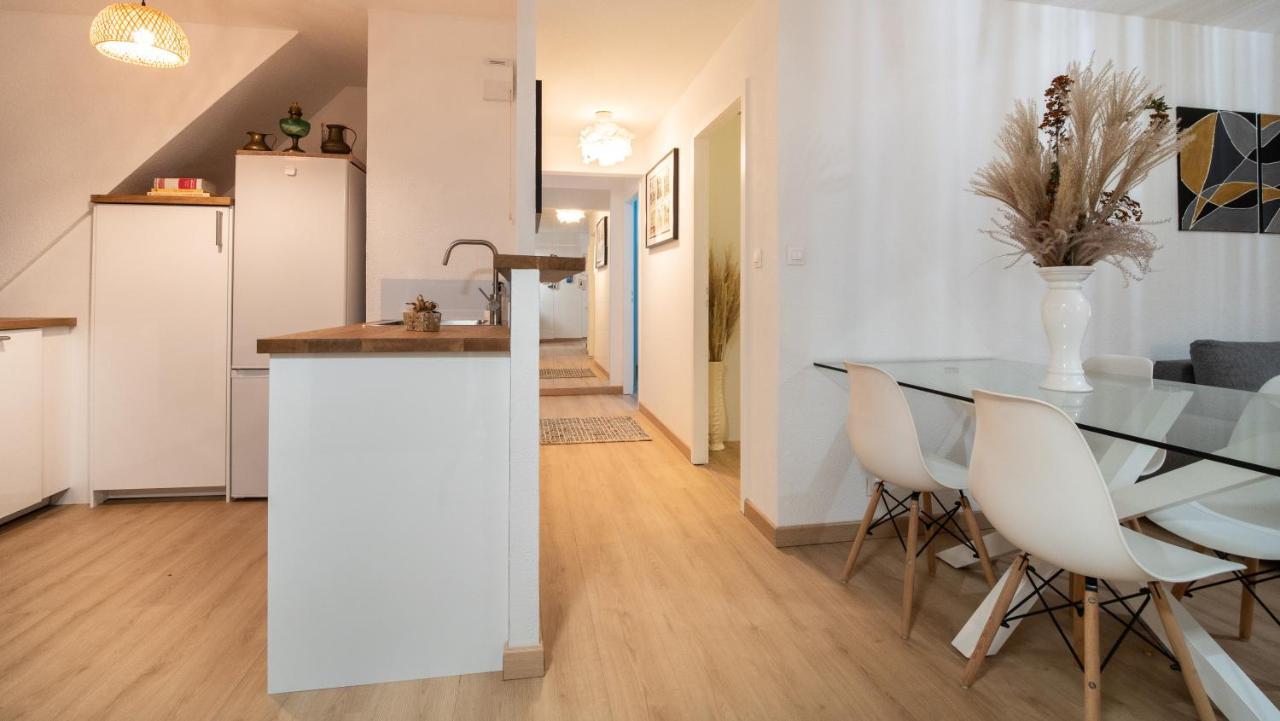 Superbe Appartement Au Coeur Du Colmar Kültér fotó