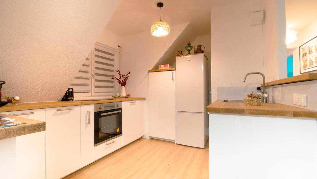 Superbe Appartement Au Coeur Du Colmar Kültér fotó
