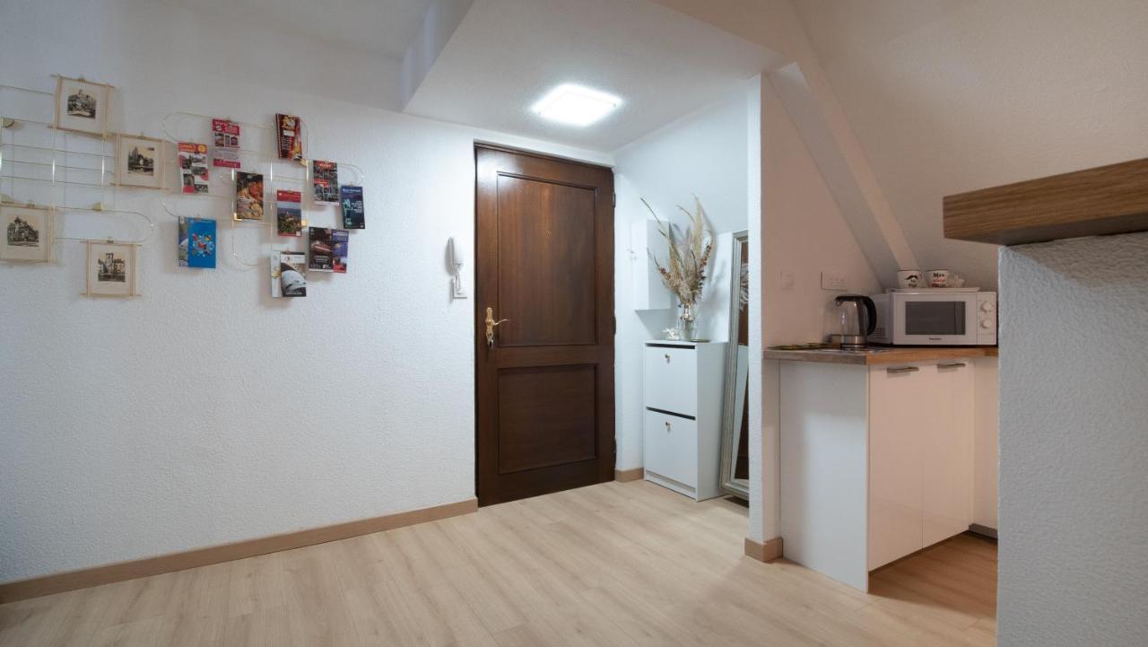 Superbe Appartement Au Coeur Du Colmar Kültér fotó